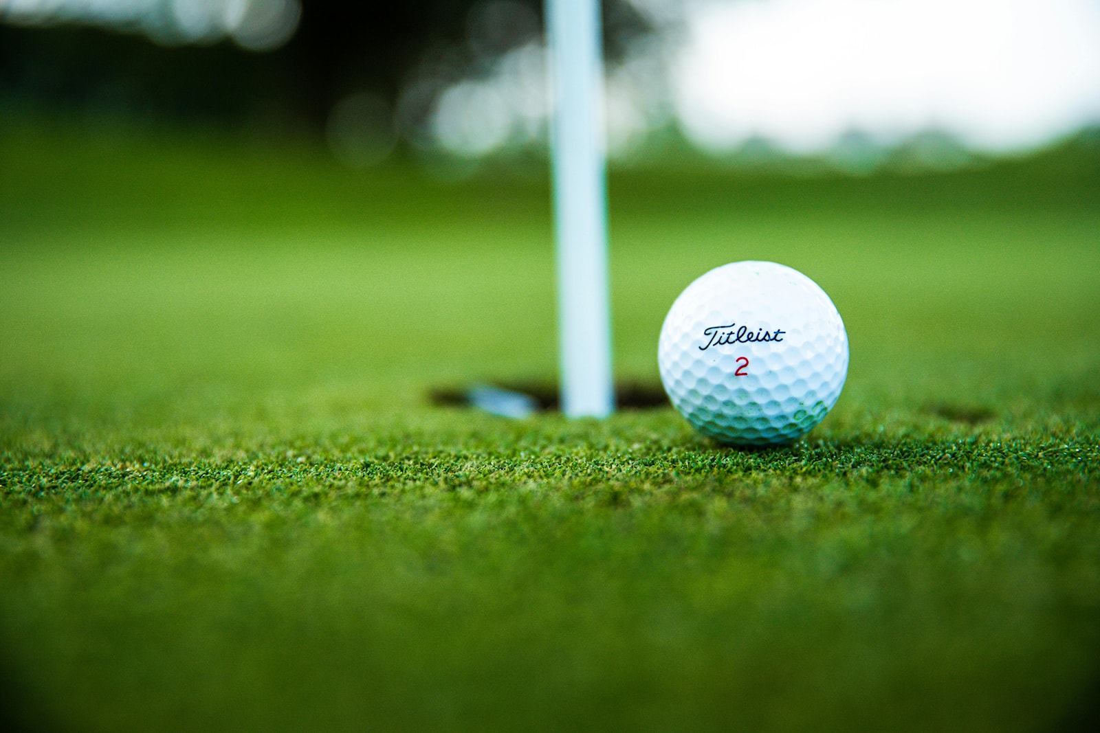 Image for Telemesterskap i Golf 2024